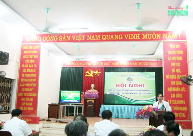 Tiên Dương – Hà Nội: Phát triển nông nghiệp hữu cơ theo chuỗi 5 nhà