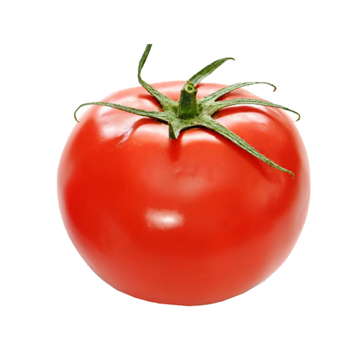 Cà chua