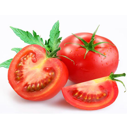 Cà chua - Vân Hội