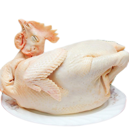 Thịt gà hữu cơ