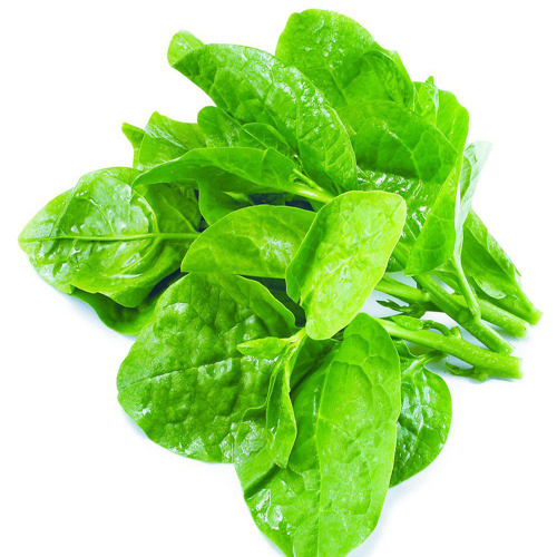 Rau mùng tơi hữu cơ