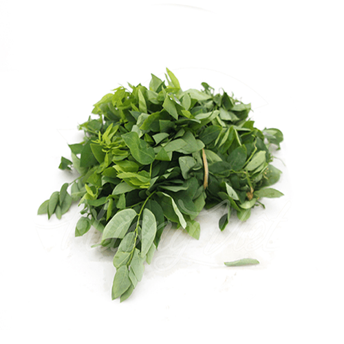 Rau ngót - Chúc Sơn