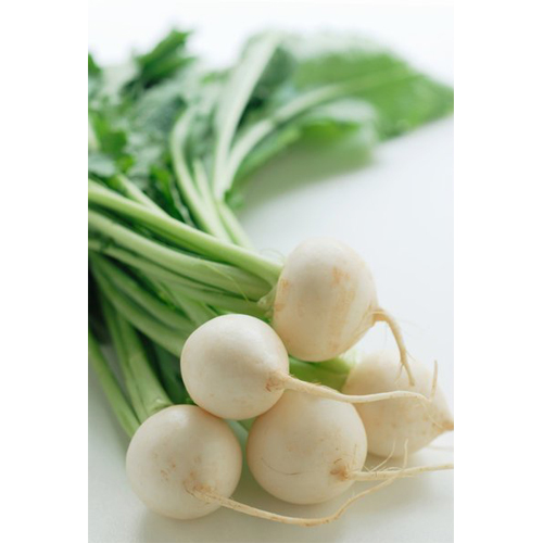 Củ cải tròn -  Chúc Sơn