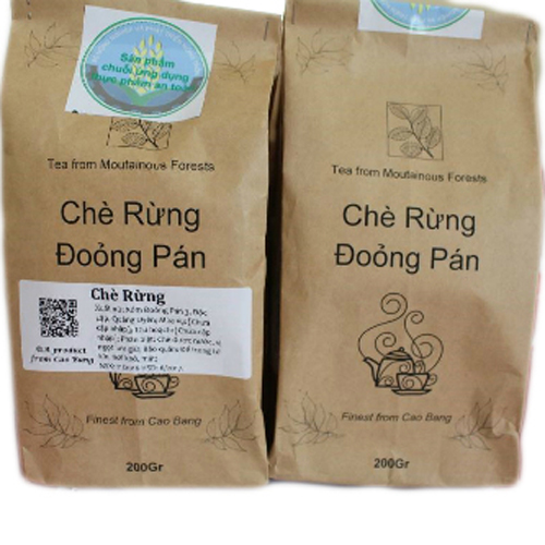 Chè rừng Đoỏng Pán - Cao Bằng