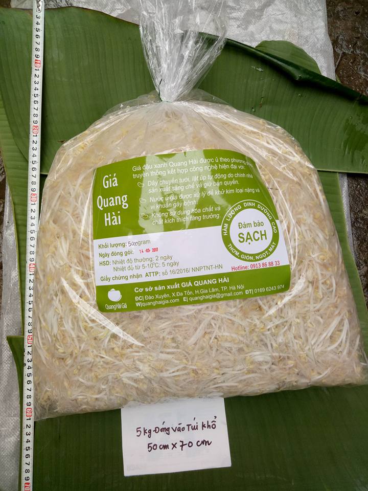 Gía sạch đóng túi loại 500gram