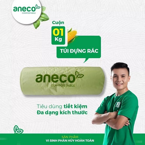 Túi đựng thực phẩm (làm từ bã mía)