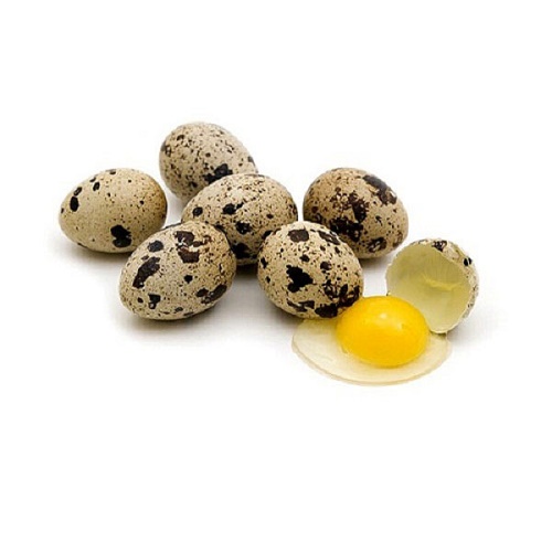 Trứng chim cút