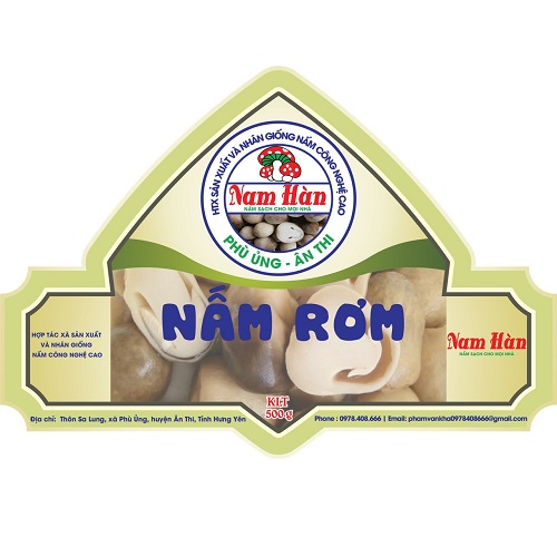 Nấm rơm Nam Hàn