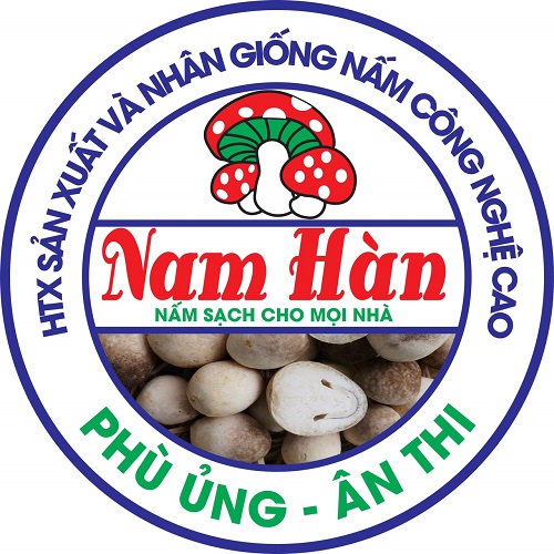 Nấm sò Nam Hàn