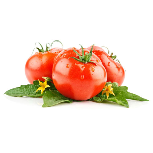 Cà chua - Chiến Thắng