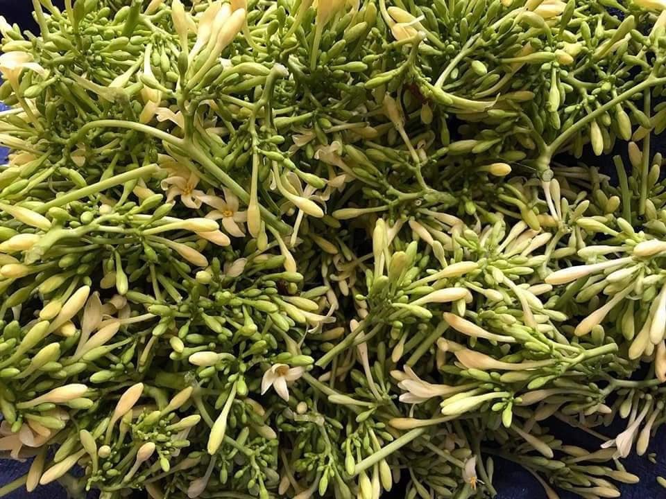 Hoa đu đủ đực khô