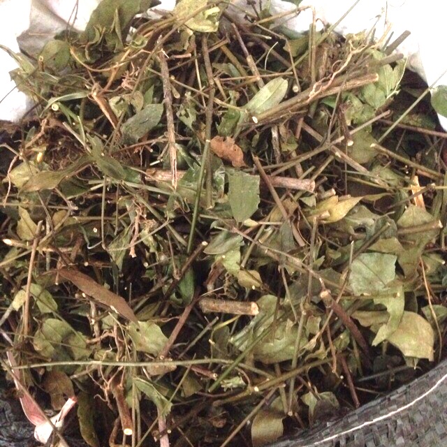 Chè vằng Bến En