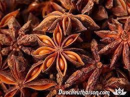 Hoa hồi khô