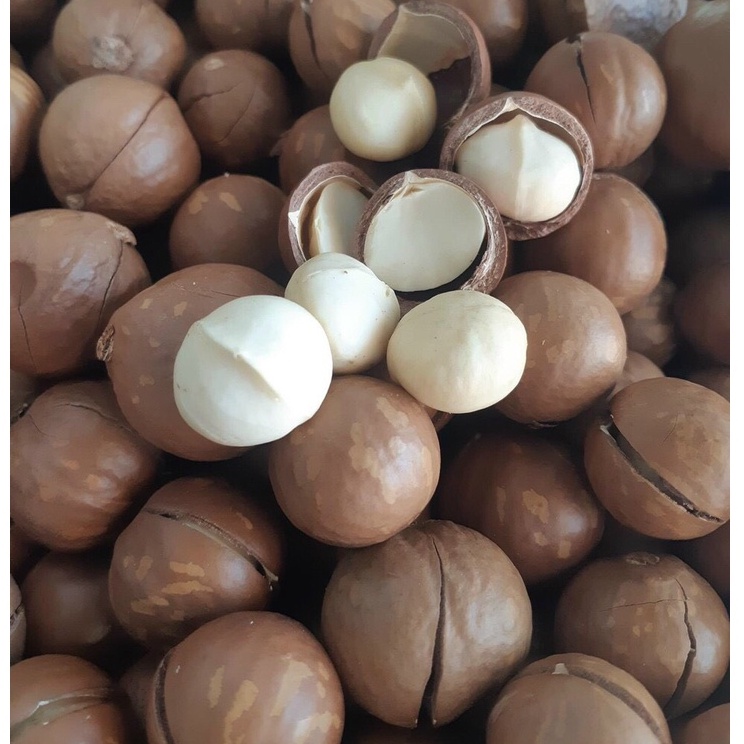 Hạt mắc ca sấy nứt vỏ