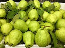 Ổi Lê Quý Hương