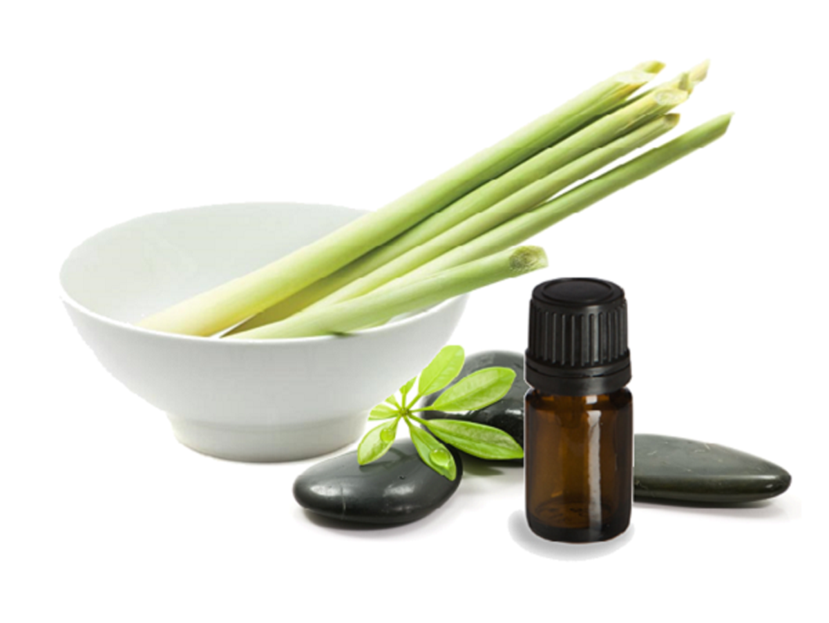 Tinh dầu Sả chanh